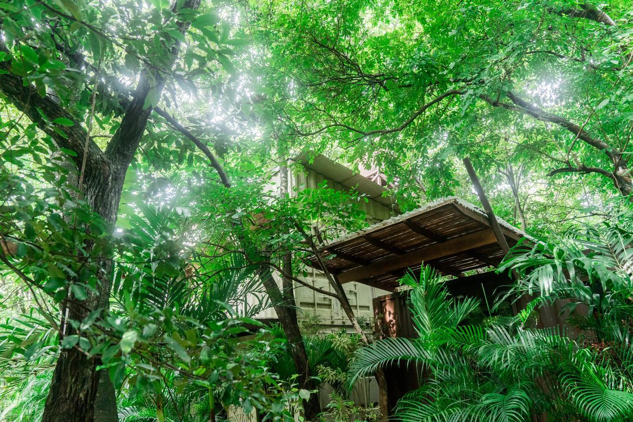 Green Sanctuary Hotel Носара Экстерьер фото
